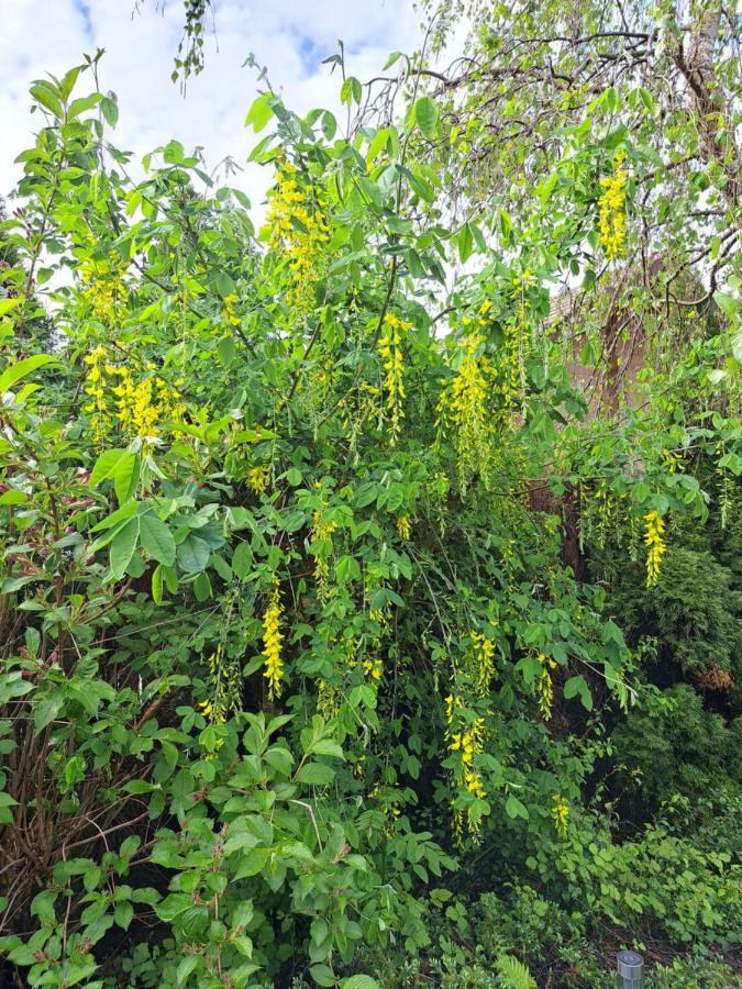 Le Refuge Du Herisson Doucier Ngoại thất bức ảnh